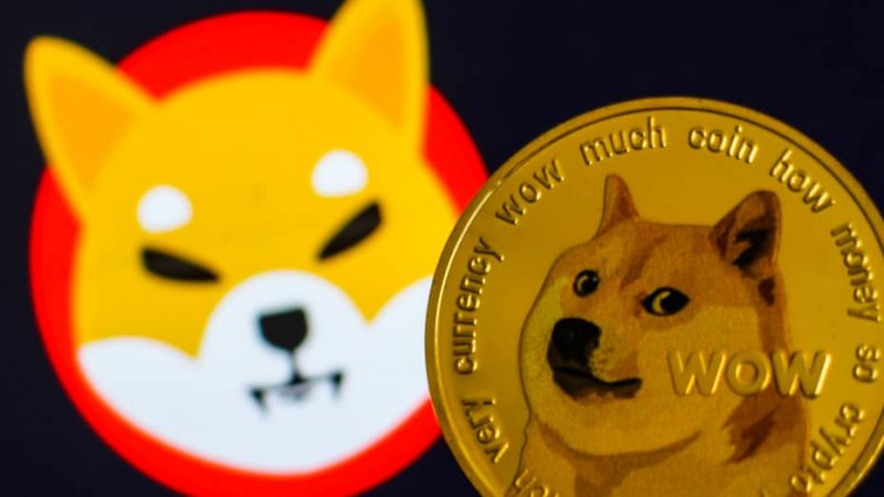 Shiba Whale Wallet With Billions Captivates Sleuths